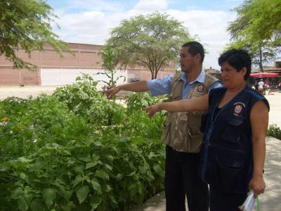 Sembrador de Conciencia